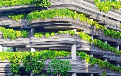 Architettura verde: principi e fondamenti
