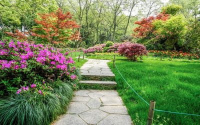 L’architettura del verde come fulcro di “Lettere al giardino”, la nuova rubrica per Villegiardini